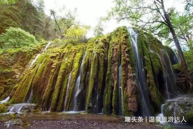 小猫钓鱼正版下载中文版